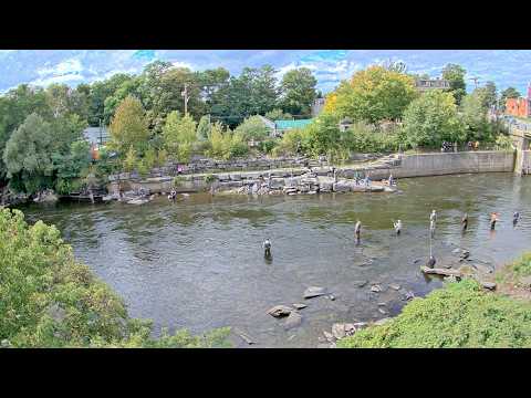 Salmon Fishing and River at golden hour