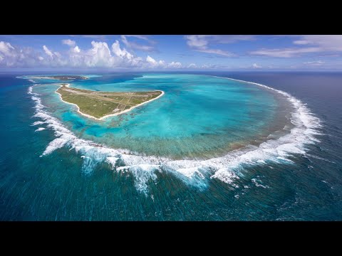 Midway Atoll at golden hour