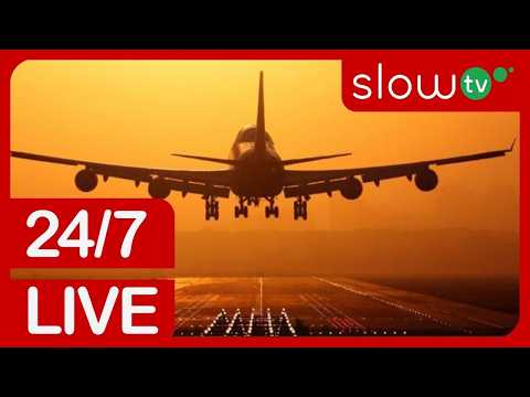 Planespotting at golden hour
